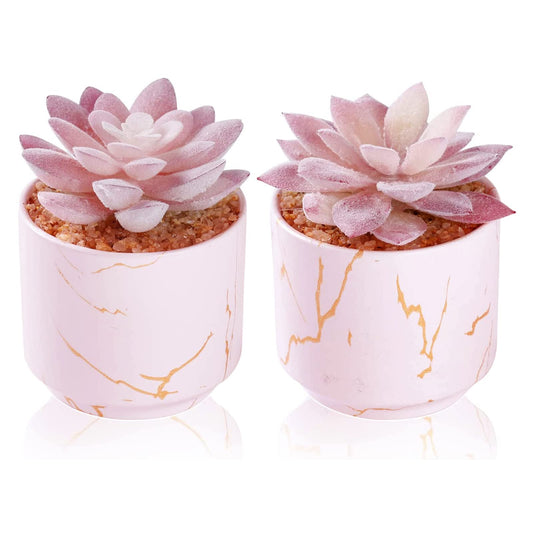 ZENIDA Succulent Artificial Plants,Cute Fake Succulents in 2 Pink Ceramic Pots,Small Fake Plants for Office,Table,Desk,Bathroom, Bedroom,Aesthetic Room Shelves Decor,Desk Decorations for Women Office