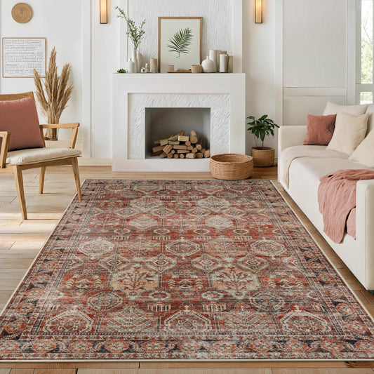 Anidaroel Vintage Moroccan Area Rugs 5x7: Machine Washable Large Rugs for Living Room, Non-Slip Soft Rugs for Bedroom Stain Resistant Indoor Accent Rug for Kitchen Bedside Dorm